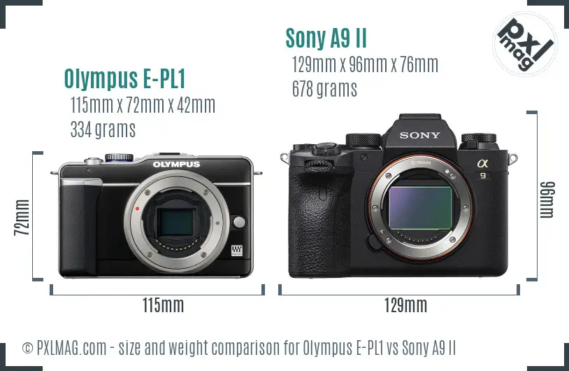 Olympus E-PL1 vs Sony A9 II size comparison Olympus E-PL1 vs Sony A9 II size comparison