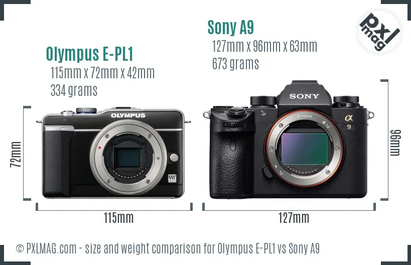 Olympus E-PL1 vs Sony A9 size comparison