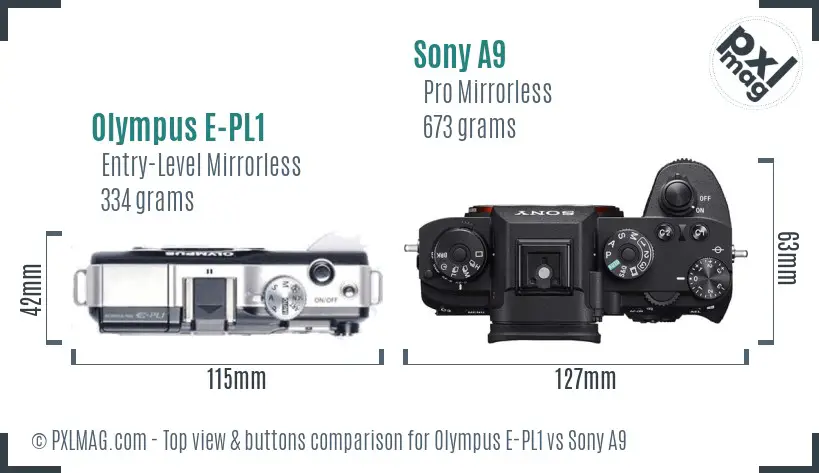 Olympus E-PL1 vs Sony A9 top view buttons comparison
