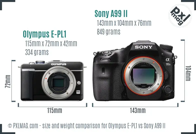 Olympus E-PL1 vs Sony A99 II size comparison