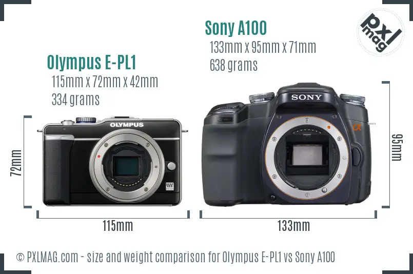 Olympus E-PL1 vs Sony A100 size comparison