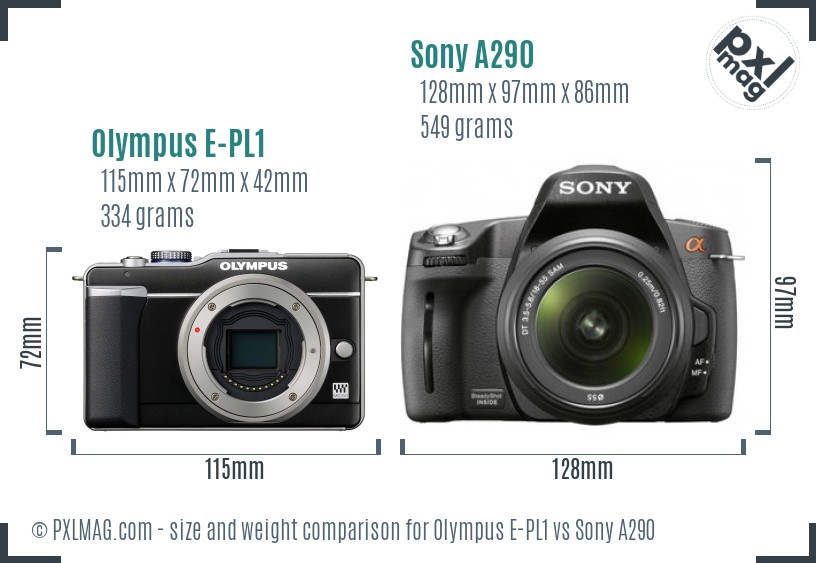 Olympus E-PL1 vs Sony A290 size comparison