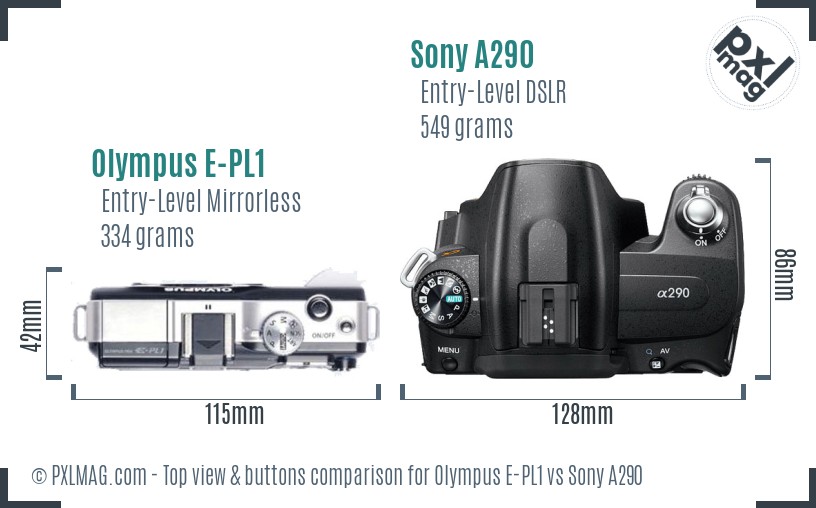 Olympus E-PL1 vs Sony A290 top view buttons comparison