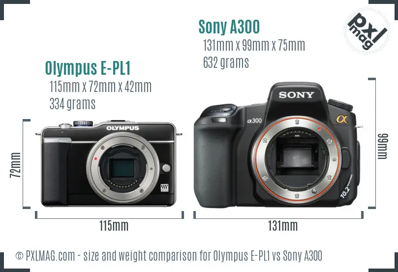 Olympus E-PL1 vs Sony A300 size comparison