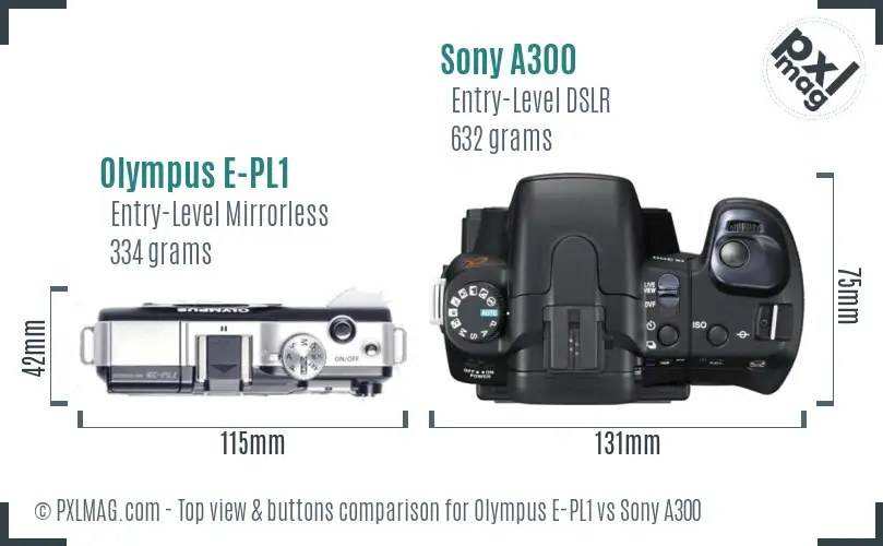 Olympus E-PL1 vs Sony A300 top view buttons comparison