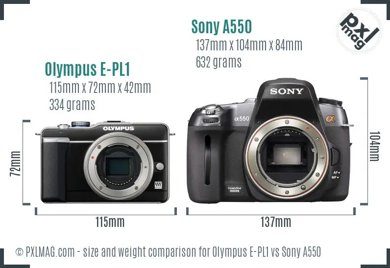 Olympus E-PL1 vs Sony A550 size comparison Olympus E-PL1 vs Sony A550 size comparison