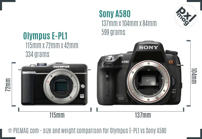 Olympus E-PL1 vs Sony A580 size comparison