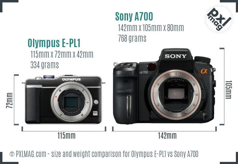 Olympus E-PL1 vs Sony A700 size comparison