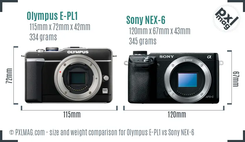 Olympus E-PL1 vs Sony NEX-6 size comparison