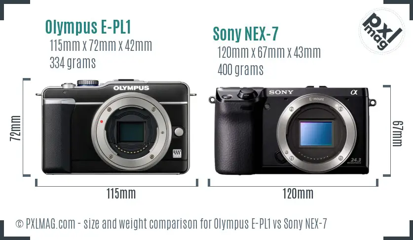 Olympus E-PL1 vs Sony NEX-7 size comparison