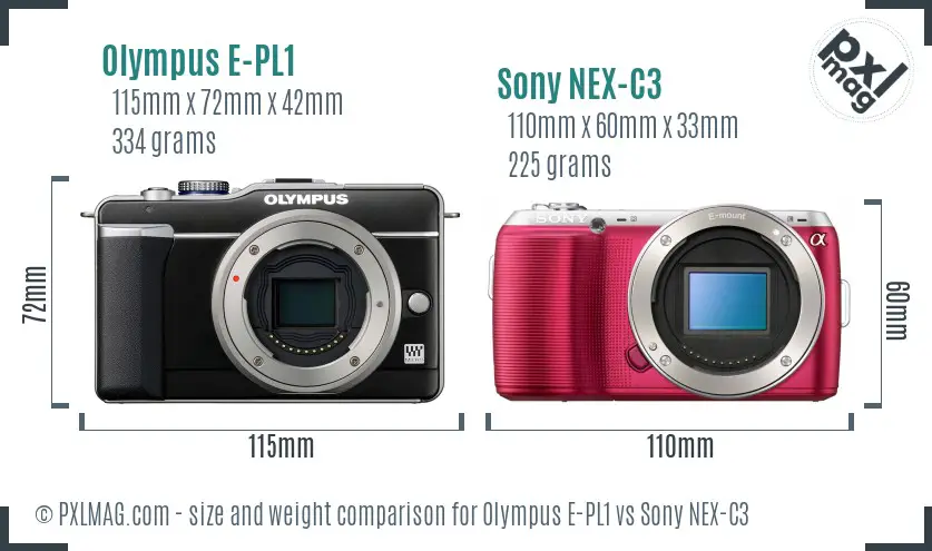 Olympus E-PL1 vs Sony NEX-C3 In Depth Comparison - PXLMAG.com