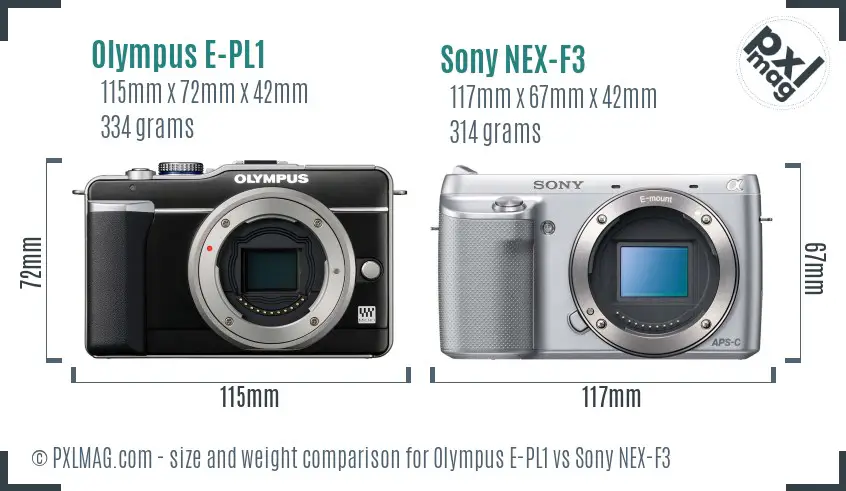 Olympus E-PL1 vs Sony NEX-F3 size comparison
