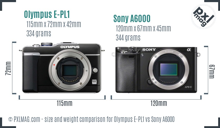 Olympus E-PL1 vs Sony A6000 size comparison