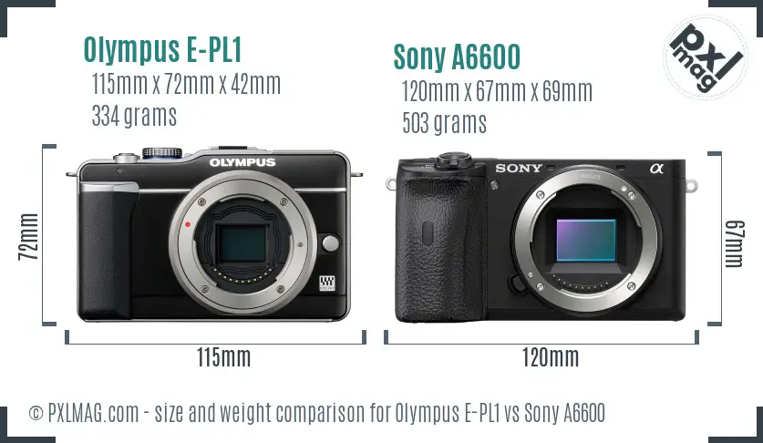 Olympus E-PL1 vs Sony A6600 size comparison