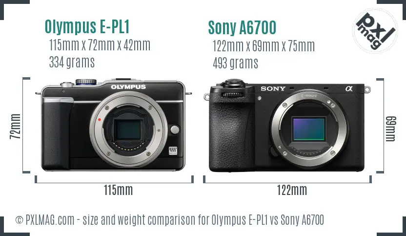 Olympus E-PL1 vs Sony A6700 size comparison