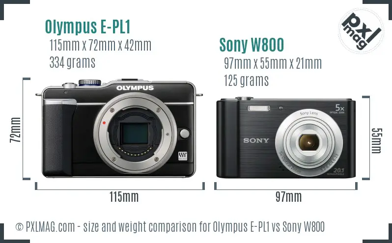 Olympus E-PL1 vs Sony W800 size comparison