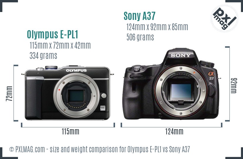 Olympus E-PL1 vs Sony A37 size comparison