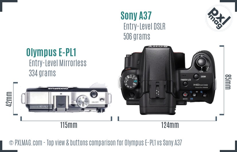 Olympus E-PL1 vs Sony A37 top view buttons comparison