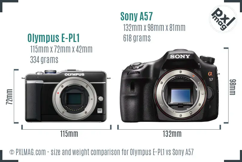 Olympus E-PL1 vs Sony A57 size comparison