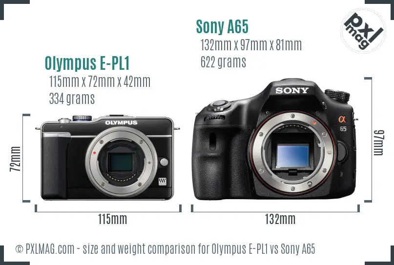 Olympus E-PL1 vs Sony A65 size comparison