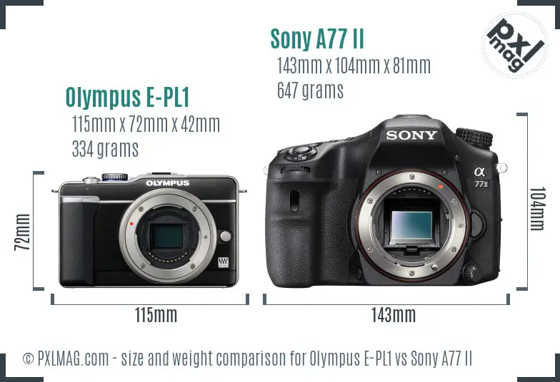 Olympus E-PL1 vs Sony A77 II size comparison