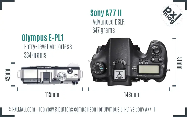 Olympus E-PL1 vs Sony A77 II top view buttons comparison