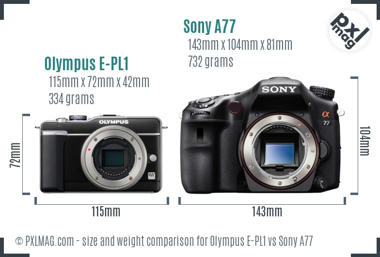 Olympus E-PL1 vs Sony A77 size comparison Olympus E-PL1 vs Sony A77 size comparison