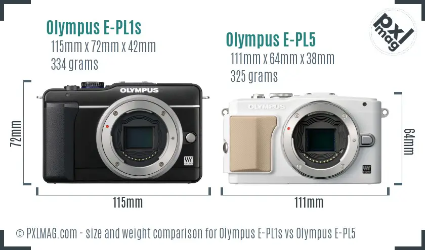 Olympus E-PL1s vs Olympus E-PL5 size comparison