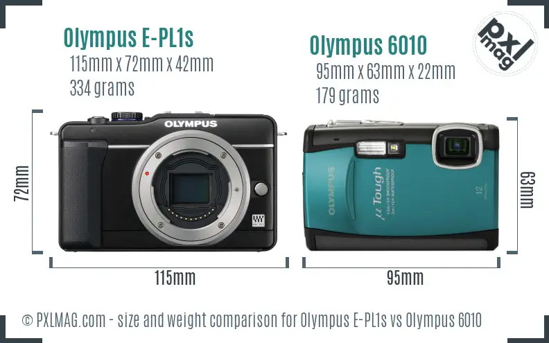 Olympus E-PL1s vs Olympus 6010 size comparison