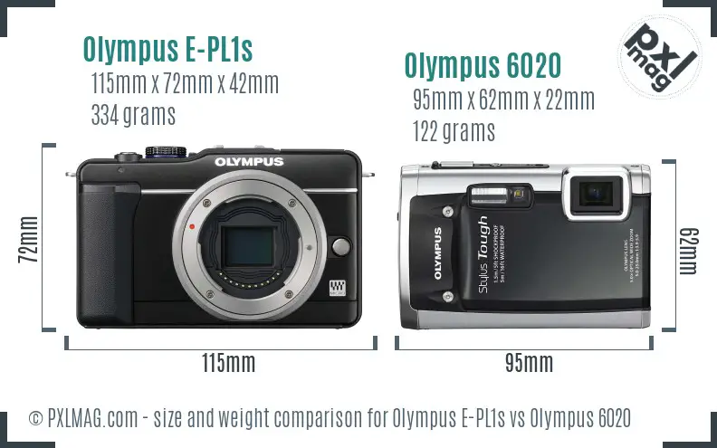 Olympus E-PL1s vs Olympus 6020 size comparison