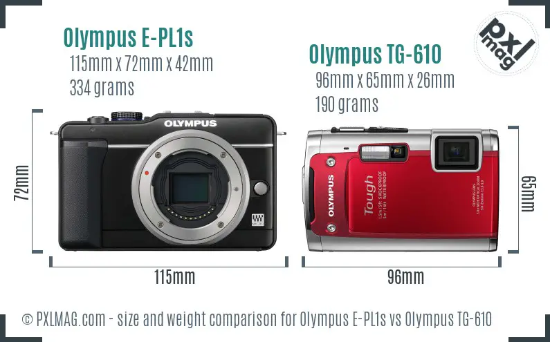 Olympus E-PL1s vs Olympus TG-610 size comparison