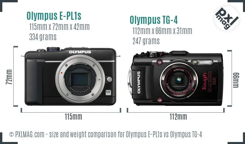 Olympus E-PL1s vs Olympus TG-4 size comparison