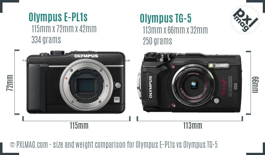 Olympus E-PL1s vs Olympus TG-5 size comparison