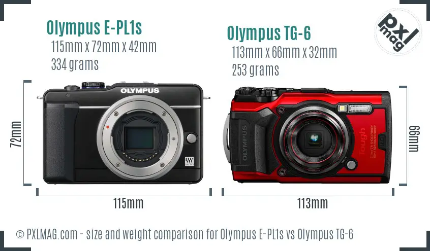Olympus E-PL1s vs Olympus TG-6 size comparison