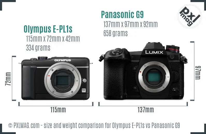Olympus E-PL1s vs Panasonic G9 size comparison