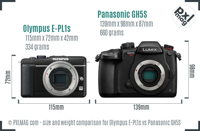 Olympus E-PL1s vs Panasonic GH5S size comparison