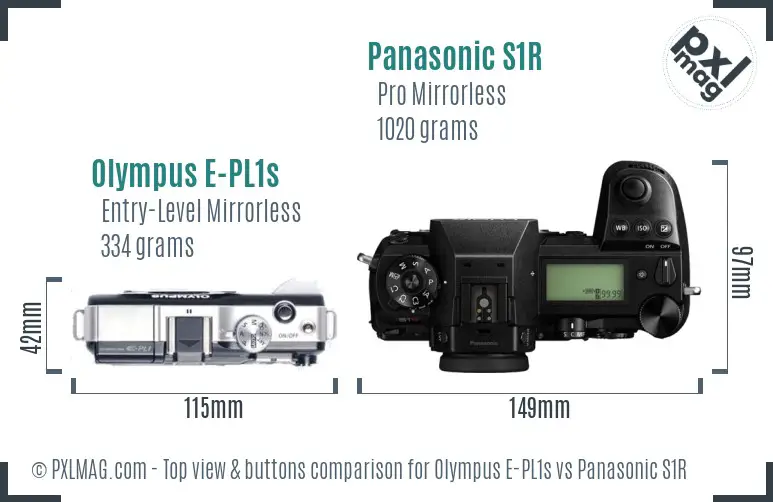 Olympus E-PL1s vs Panasonic S1R top view buttons comparison