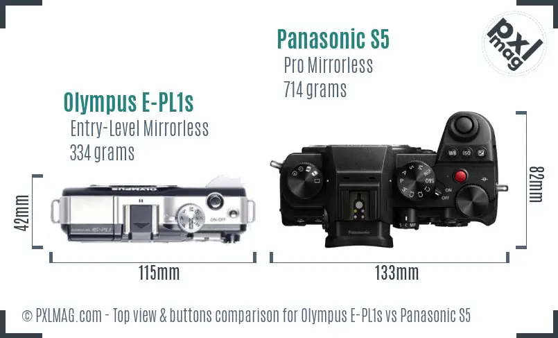 Olympus E-PL1s vs Panasonic S5 top view buttons comparison