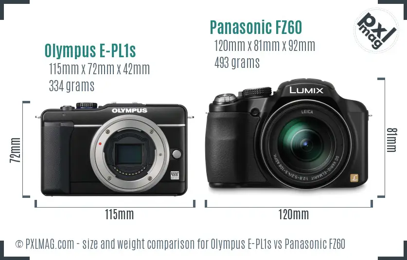Olympus E-PL1s vs Panasonic FZ60 size comparison