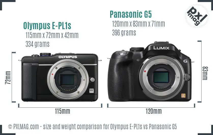 Olympus E-PL1s vs Panasonic G5 size comparison