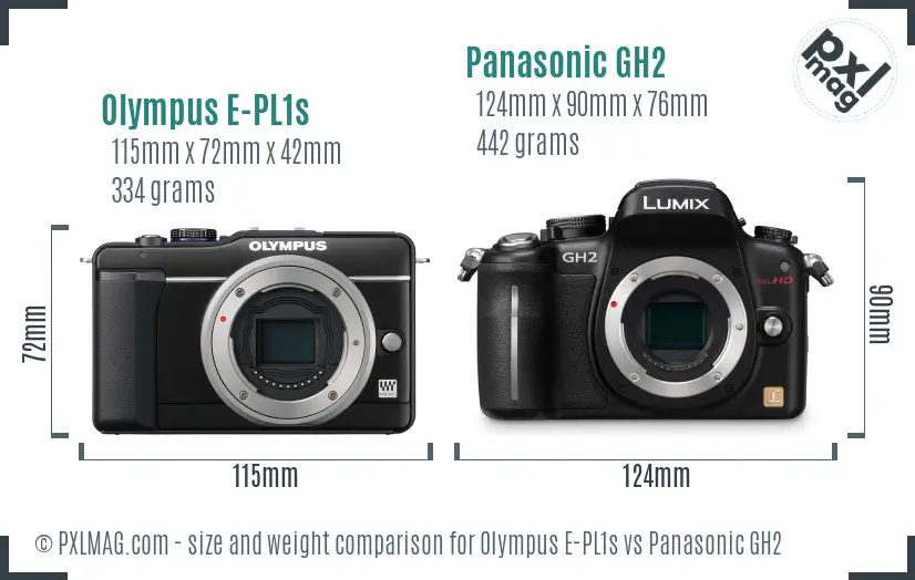 Olympus E-PL1s vs Panasonic GH2 size comparison