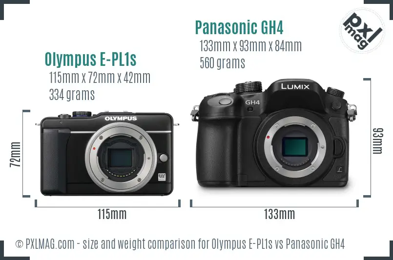 Olympus E-PL1s vs Panasonic GH4 size comparison