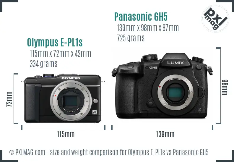 Olympus E-PL1s vs Panasonic GH5 size comparison