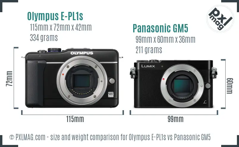 Olympus E-PL1s vs Panasonic GM5 size comparison