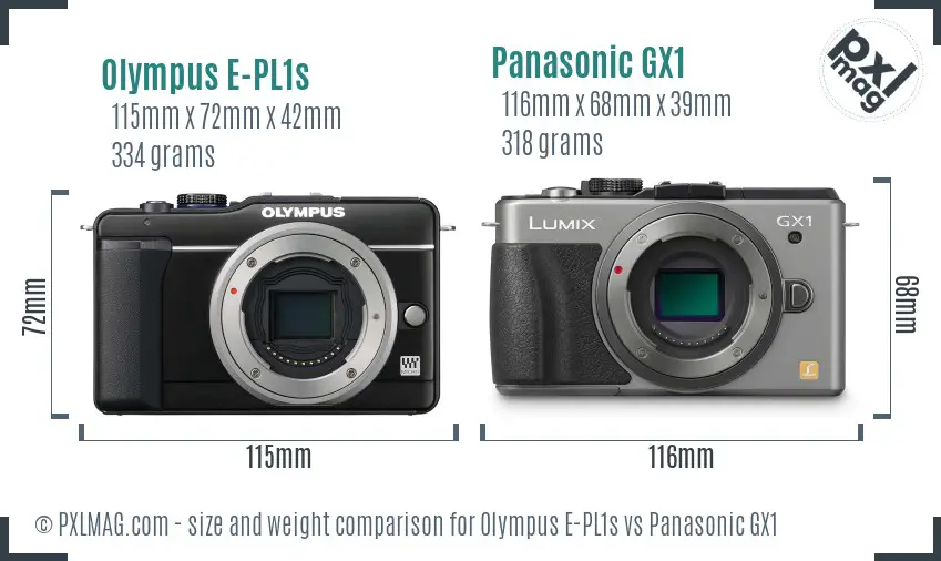 Olympus E-PL1s vs Panasonic GX1 size comparison