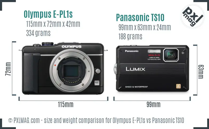 Olympus E-PL1s vs Panasonic TS10 size comparison