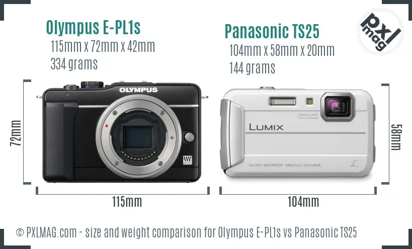 Olympus E-PL1s vs Panasonic TS25 size comparison