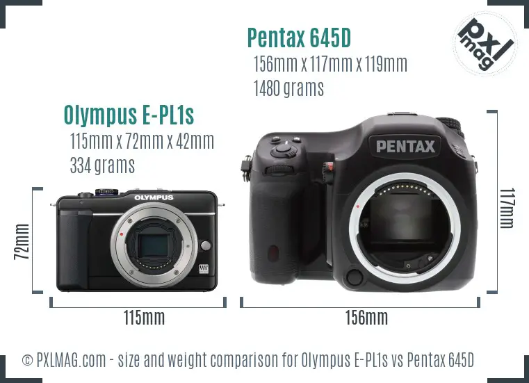 Olympus E-PL1s vs Pentax 645D size comparison
