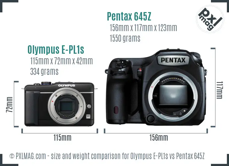 Olympus E-PL1s vs Pentax 645Z size comparison