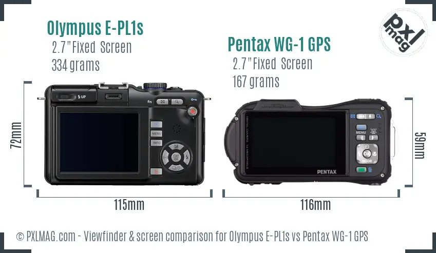 Olympus E-PL1s vs Pentax WG-1 GPS Screen and Viewfinder comparison